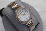 ARMANI PEARL DIAL DUAL TONE STAINLESS STEEL STRAO AR11524 (MOD)